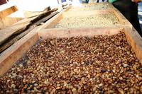 Kaffeetour in Monteverde &ndash; &copy; Annett Müller (Eberhardt TRAVEL)